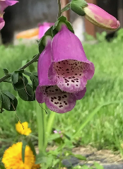 Eindruck vom Schmeddershof